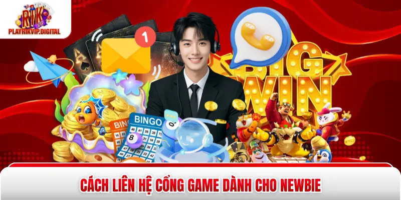 Cách liên hệ cổng game dành cho newbie